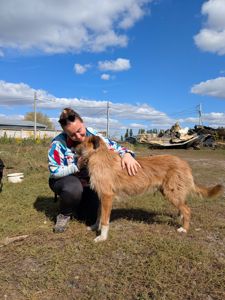 Песик Тобік шукає родину