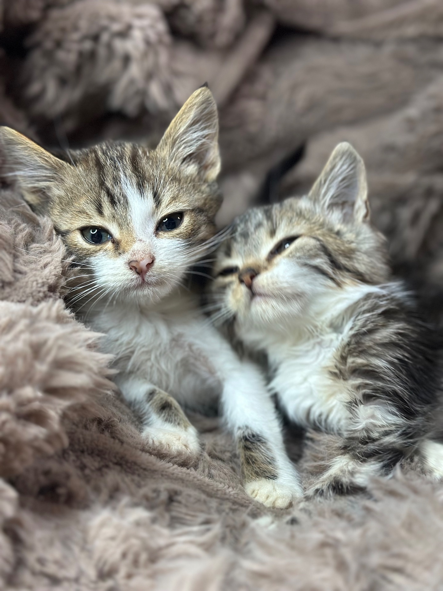 Хлопчик шукає родину!