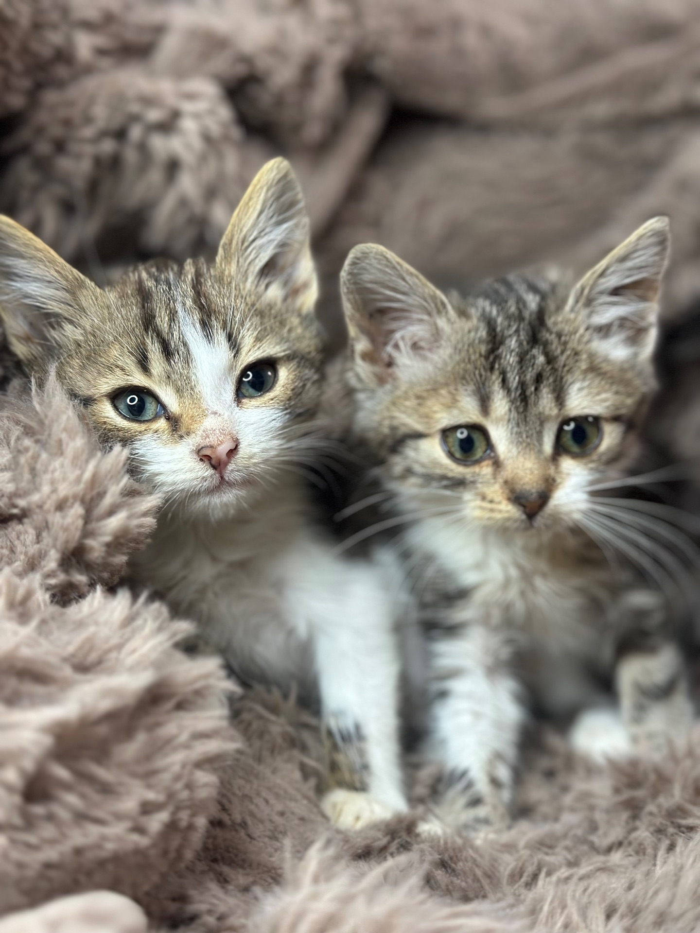 Хлопчик шукає родину!