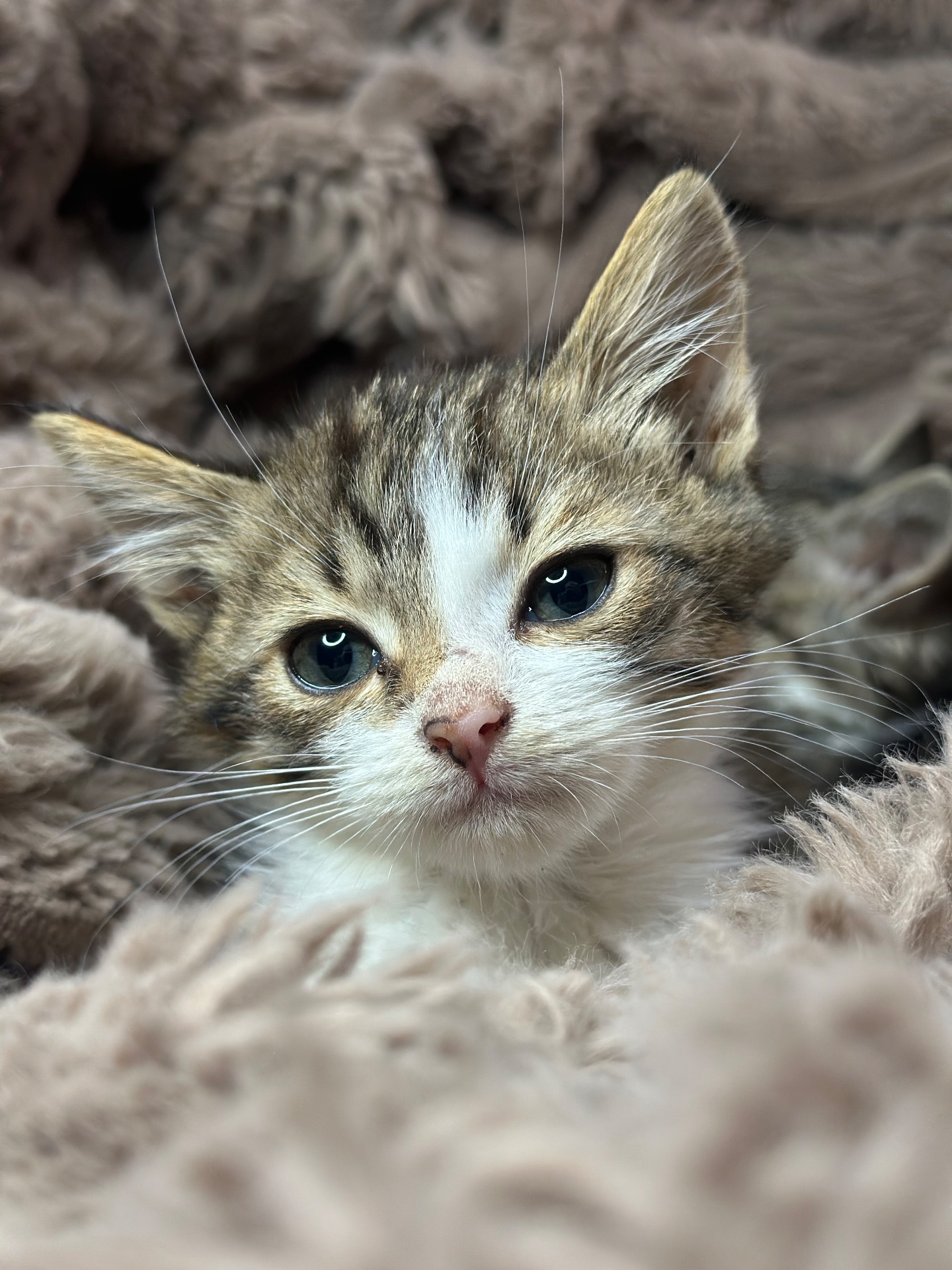 Хлопчик шукає родину!