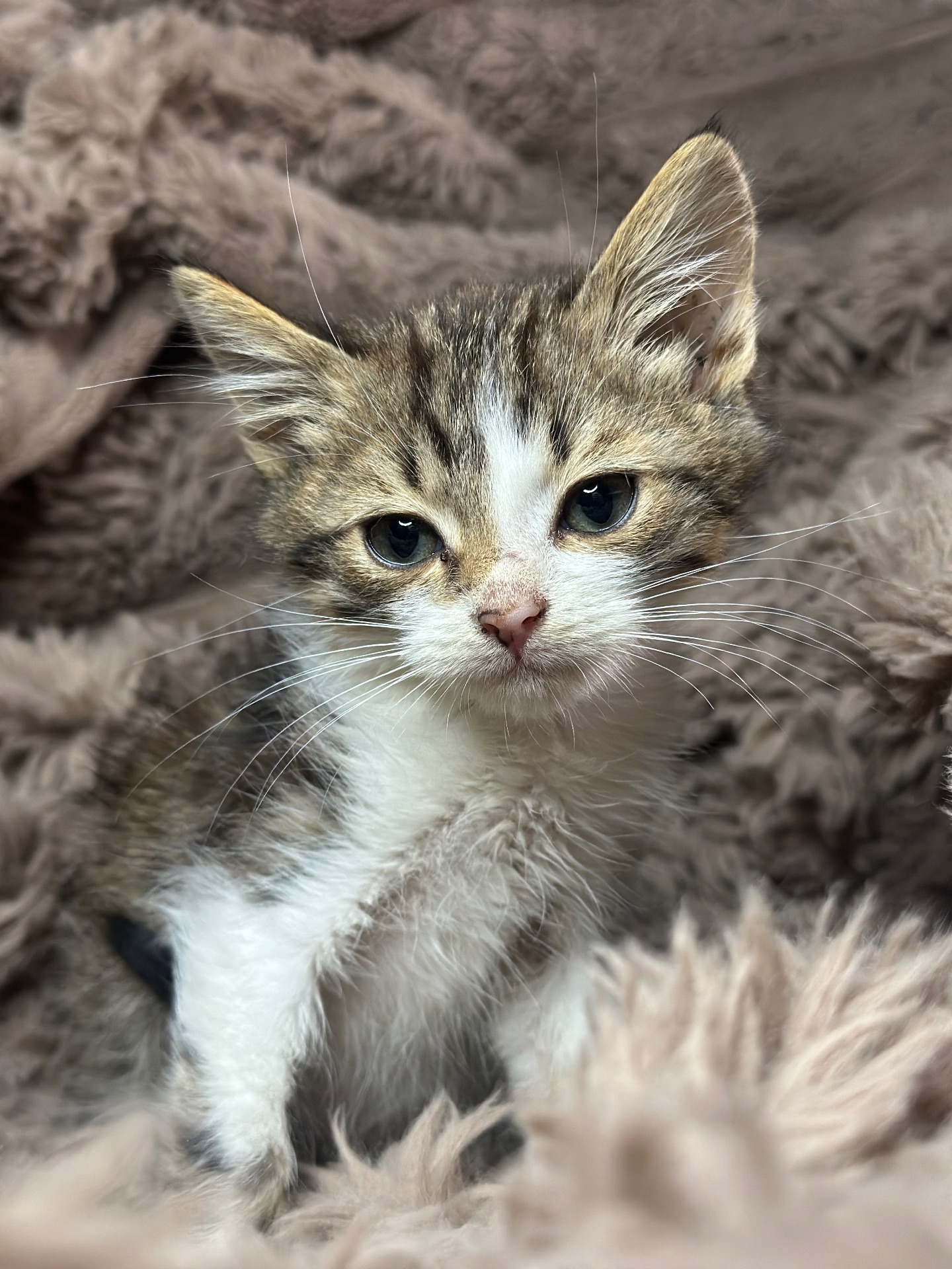 Хлопчик шукає родину!