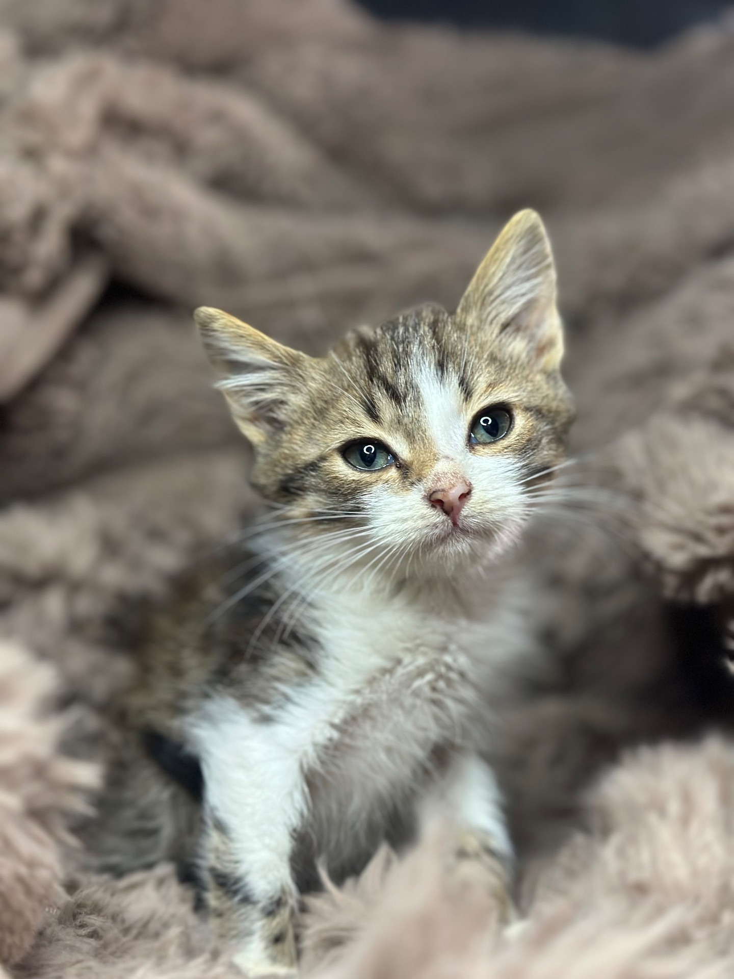 Хлопчик шукає родину!