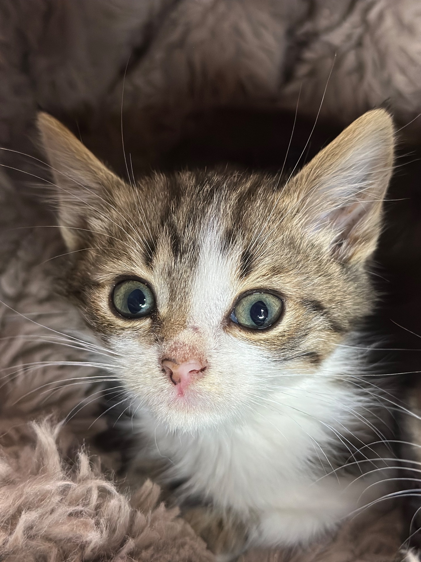 Хлопчик шукає родину!