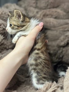 Хлопчик шукає родину!