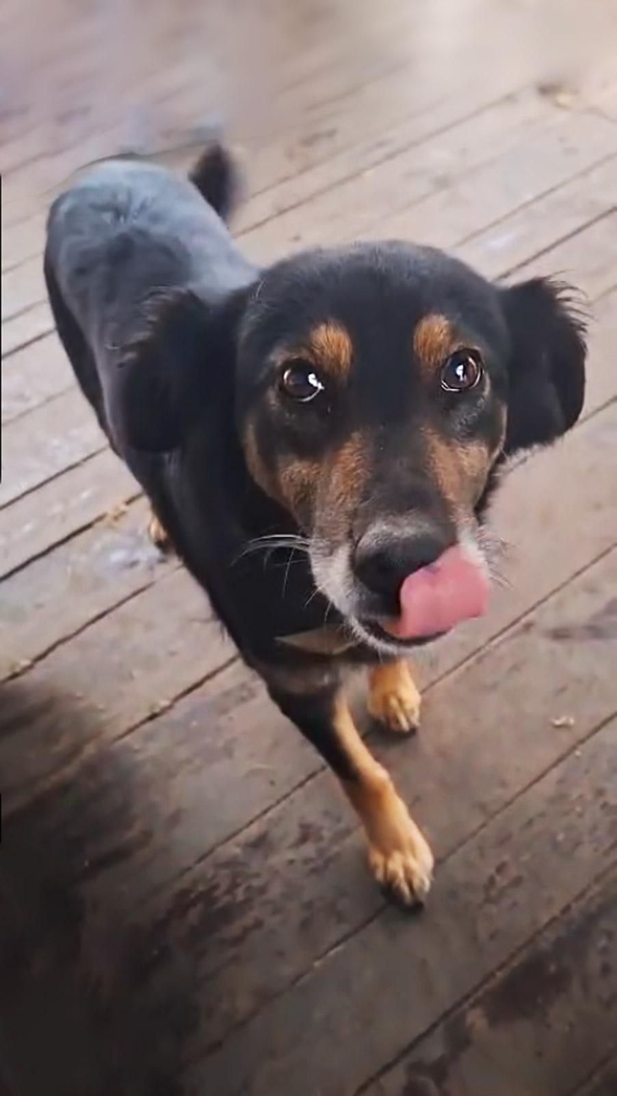 Діна з Сумщини, 3 роки