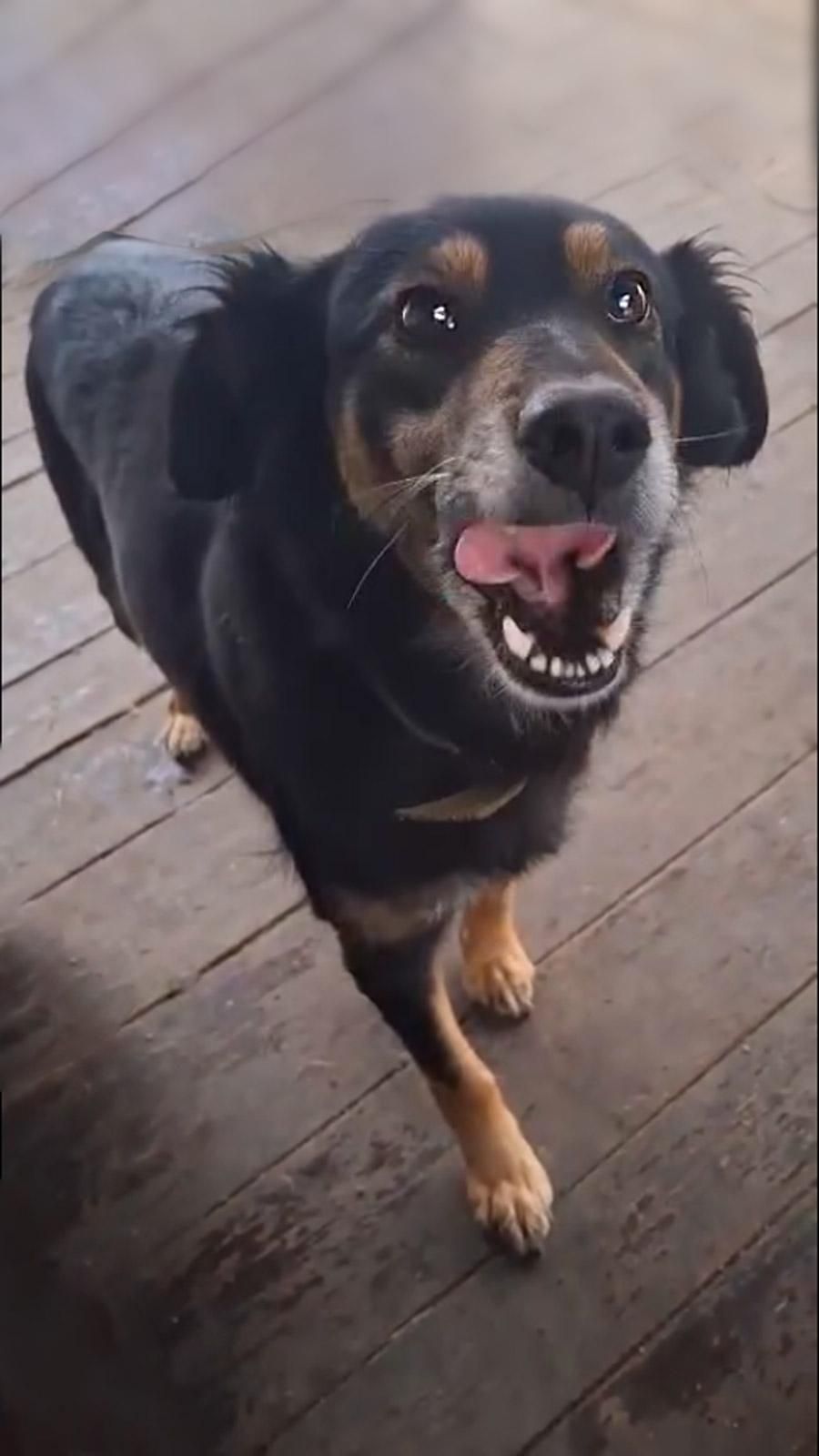 Діна з Сумщини, 3 роки