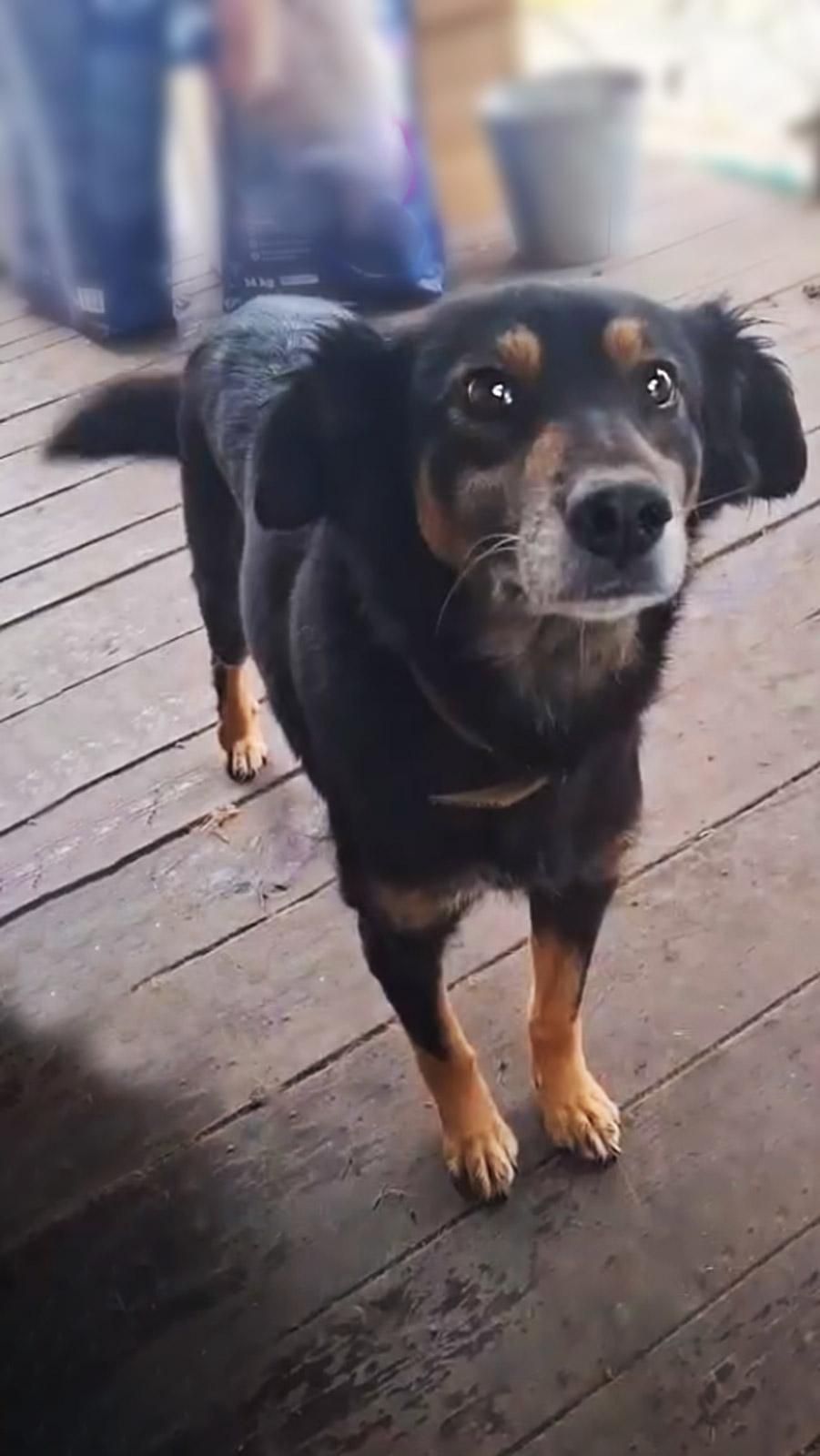 Діна з Сумщини, 3 роки