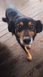 Діна з Сумщини, 3 роки