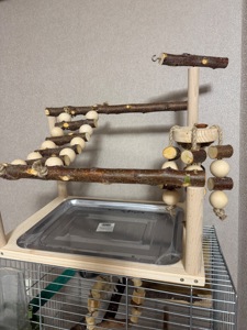 Сонячний Аратінга