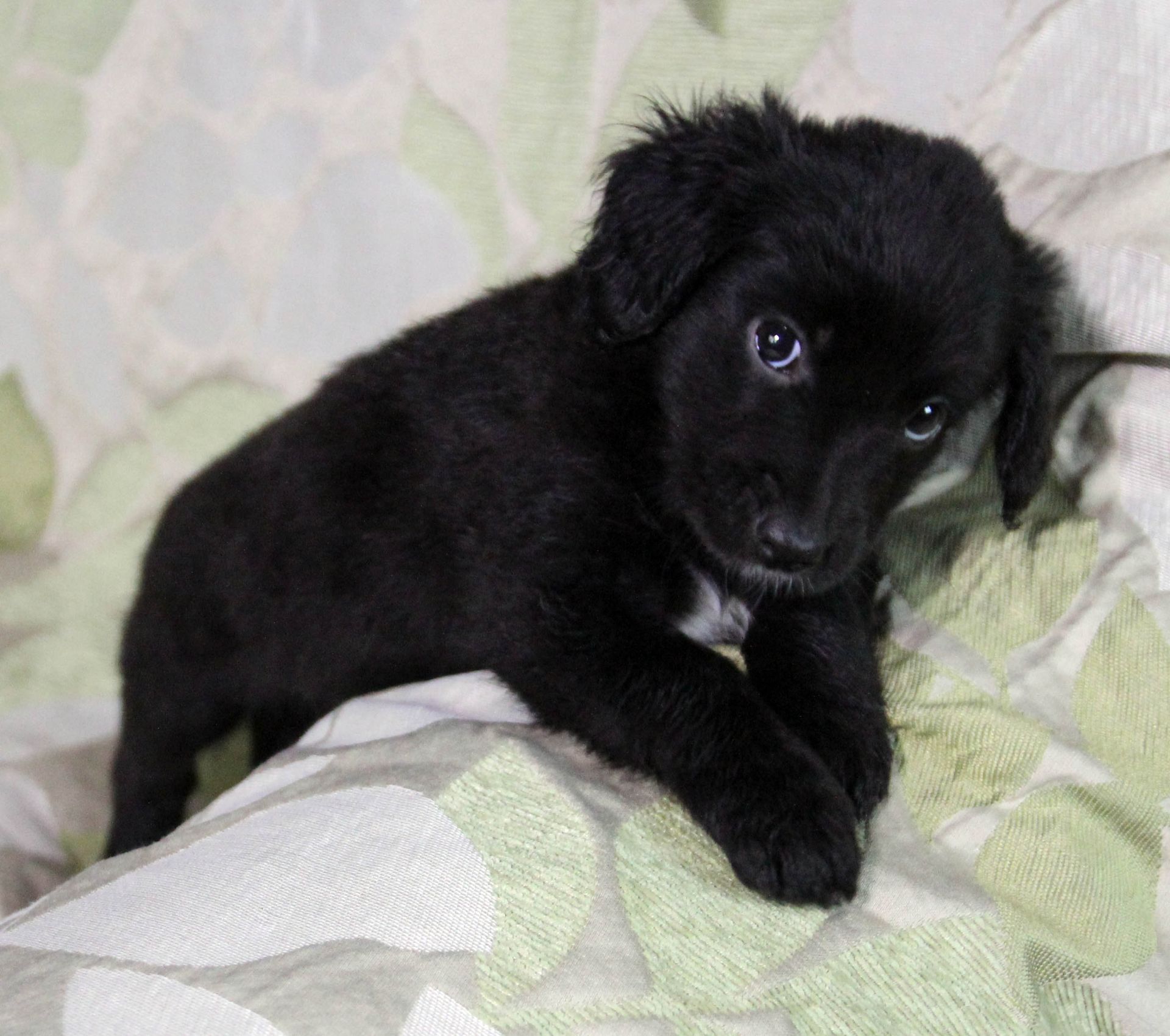 Дівчинка чекає на рідну людину :)