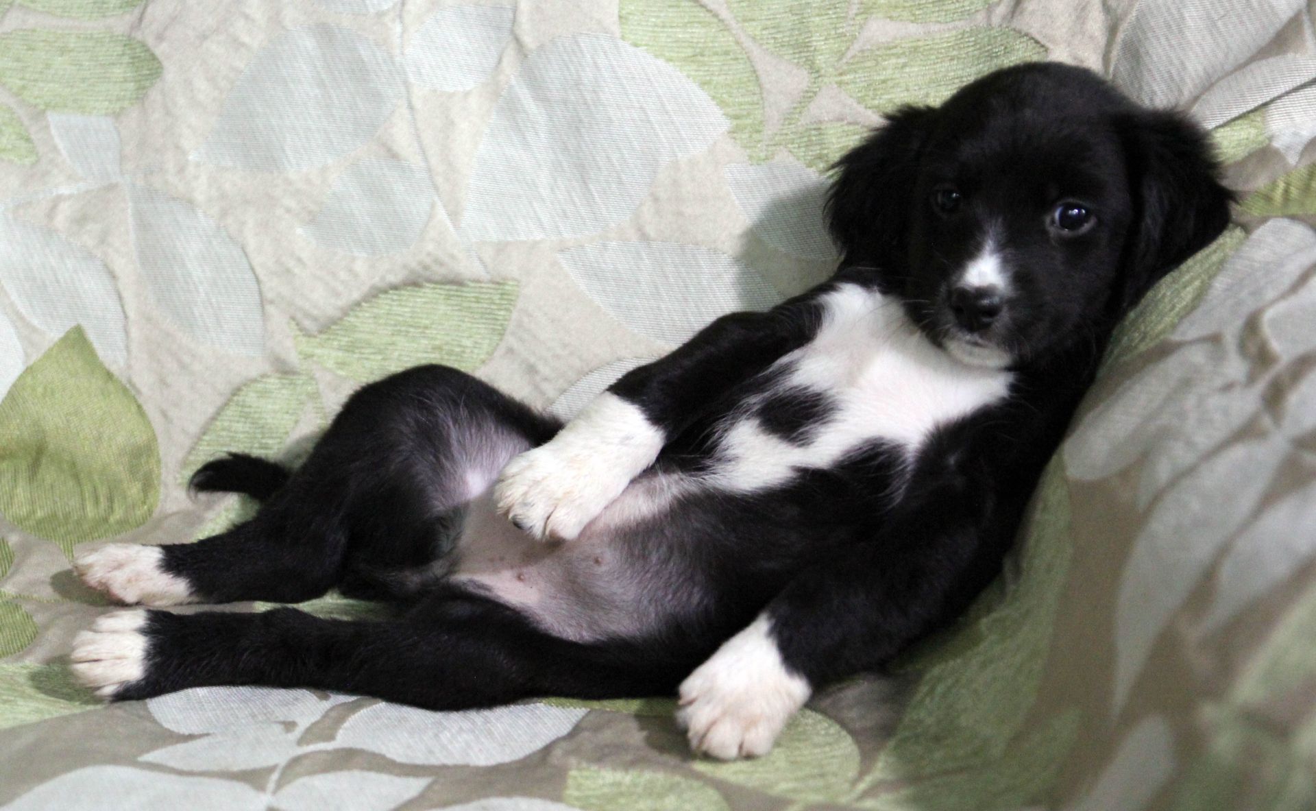 Позитив у Ваш дім