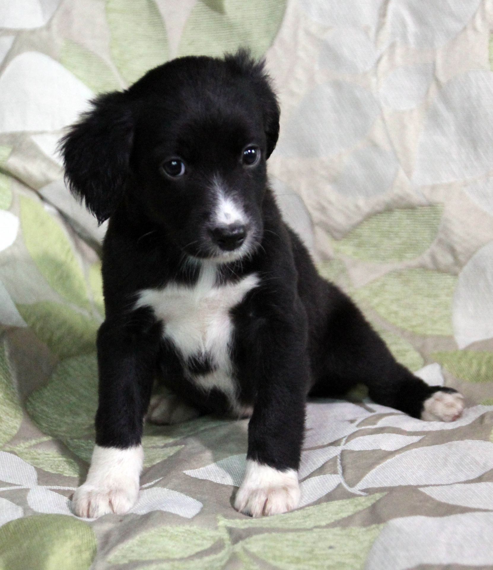 Позитив у Ваш дім