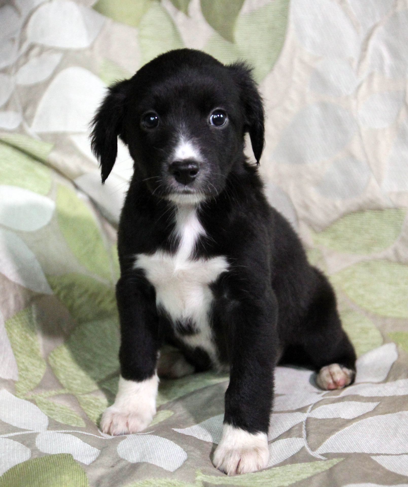 Позитив у Ваш дім