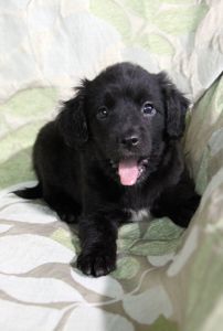 Дівчинка чекає на рідну людину :)