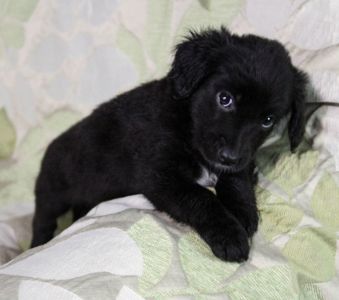 Дівчинка чекає на рідну людину :)