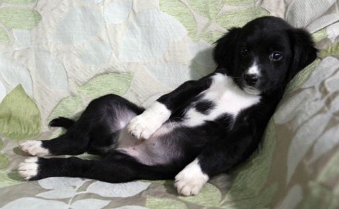 Позитив у Ваш дім