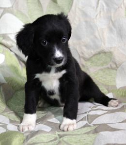 Позитив у Ваш дім