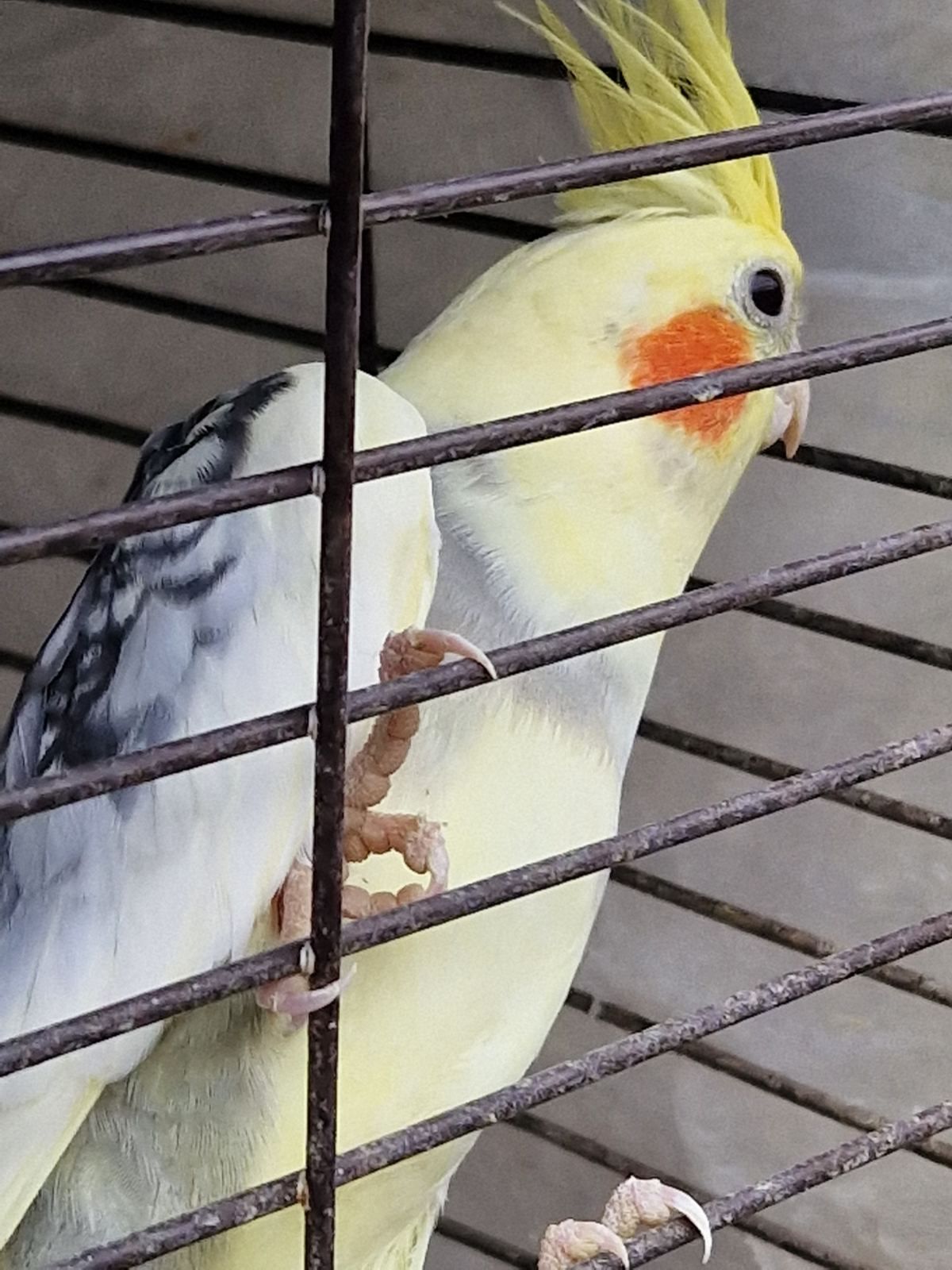 Малыши для разговора