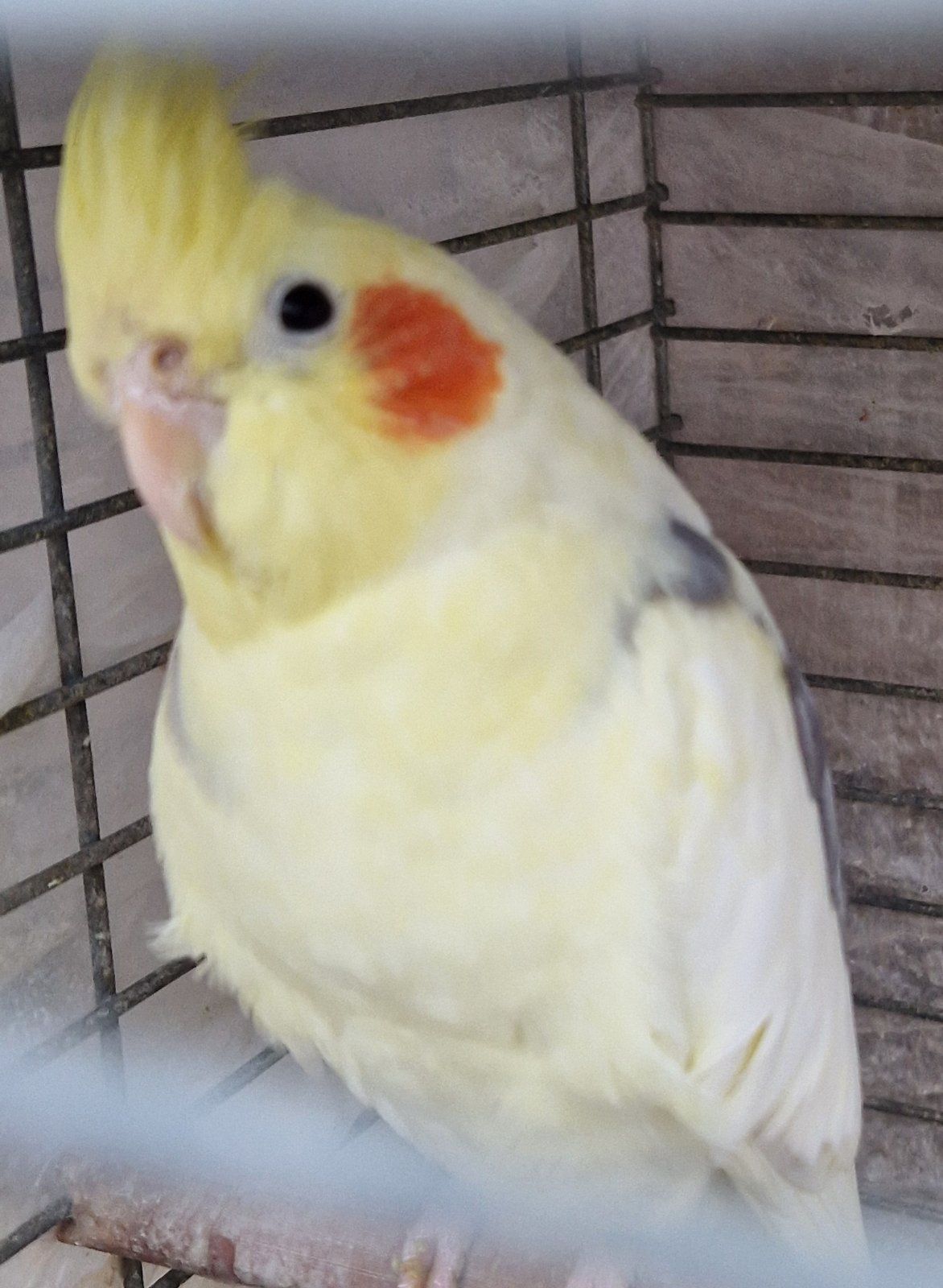 Малыши для разговора