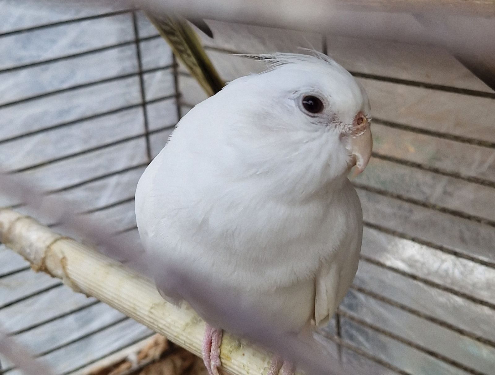 Малыши для разговора