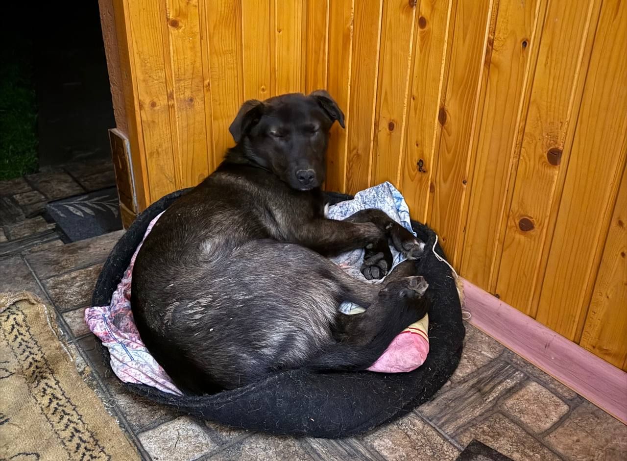 Мила, розумна дівчинка