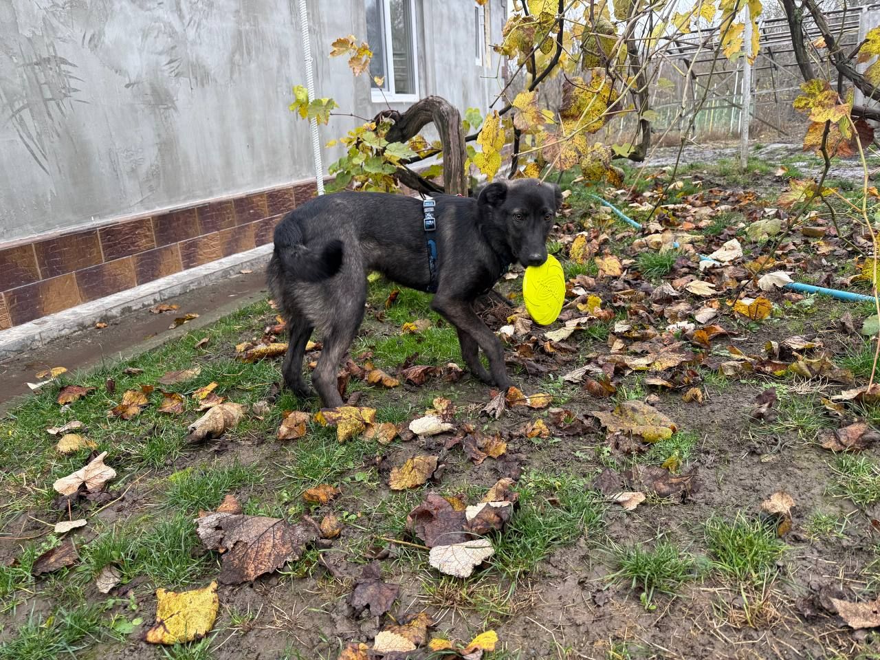 Мила, розумна дівчинка