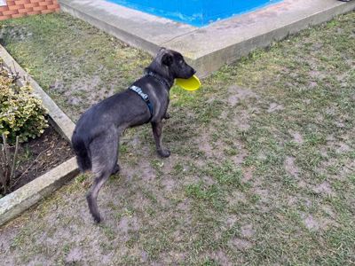 Мила, розумна дівчинка