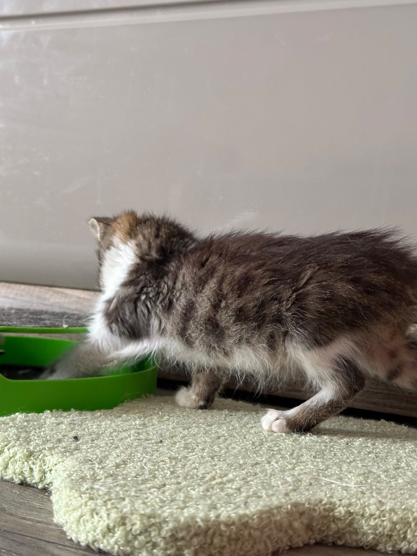 Хлопчику потрібен дім!