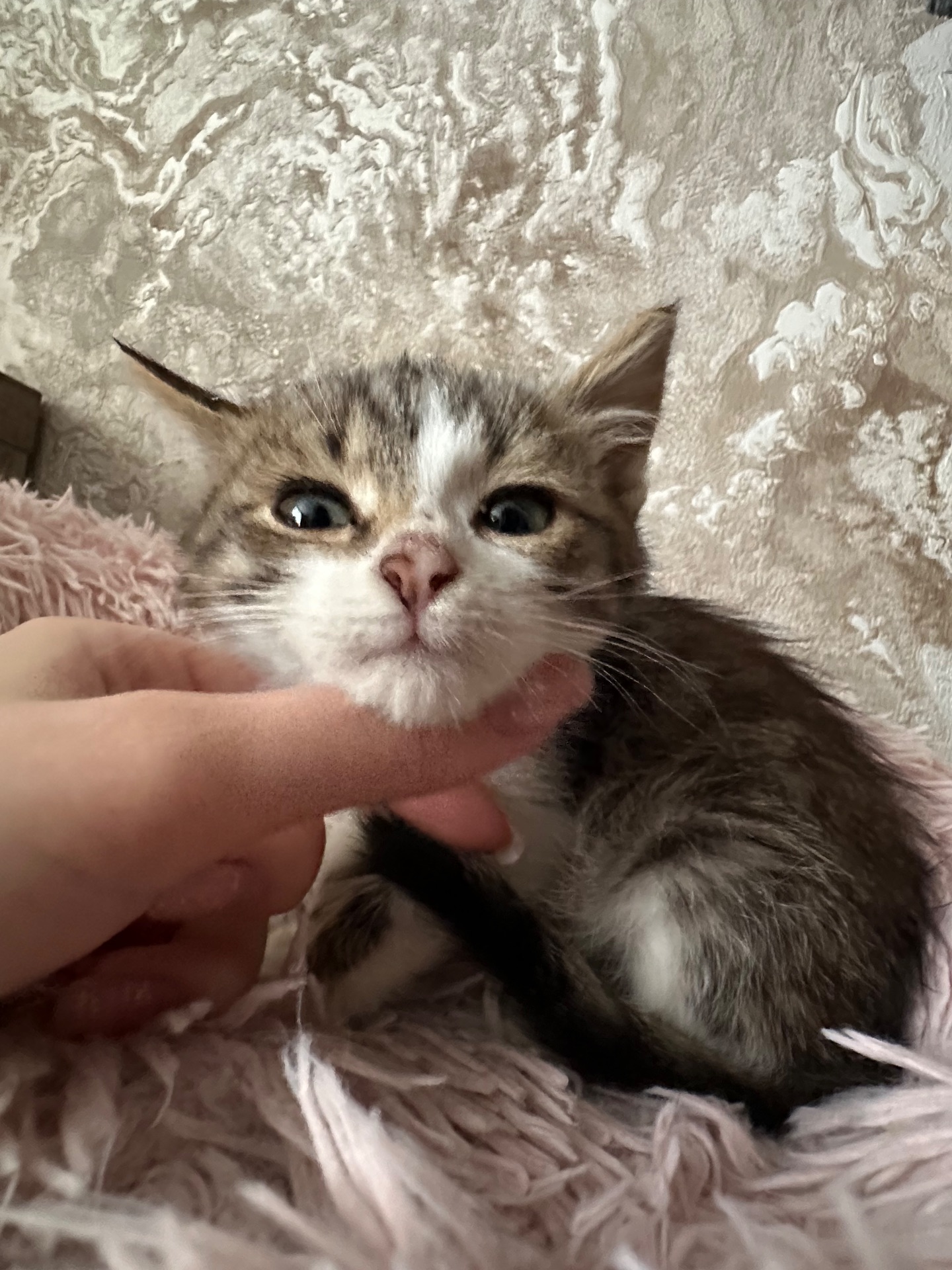 Хлопчику потрібен дім!