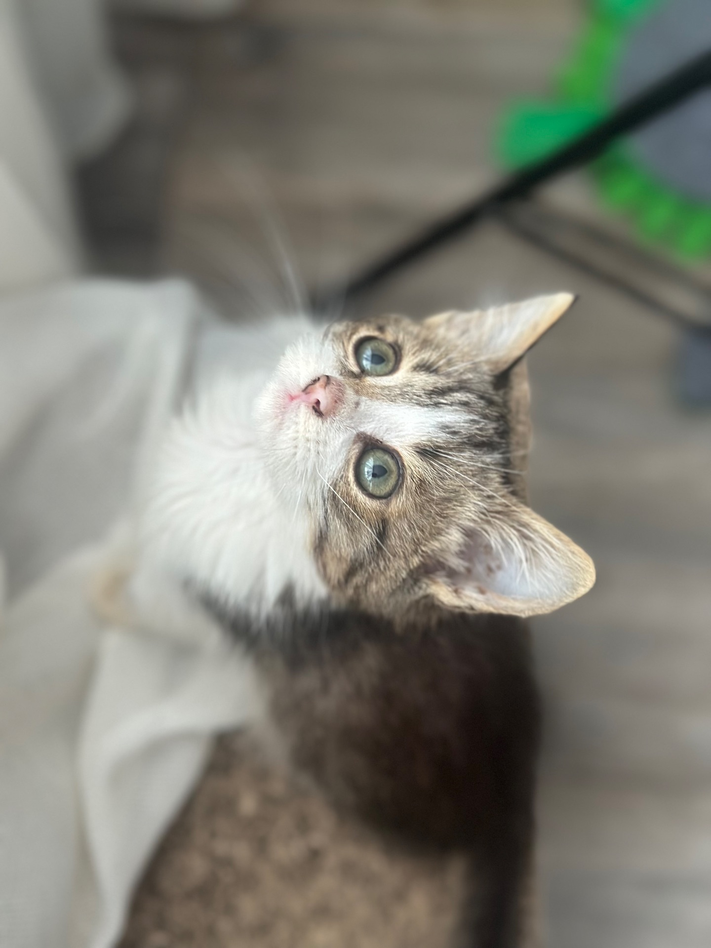 Хлопчику потрібен дім!