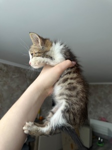 Хлопчику потрібен дім!