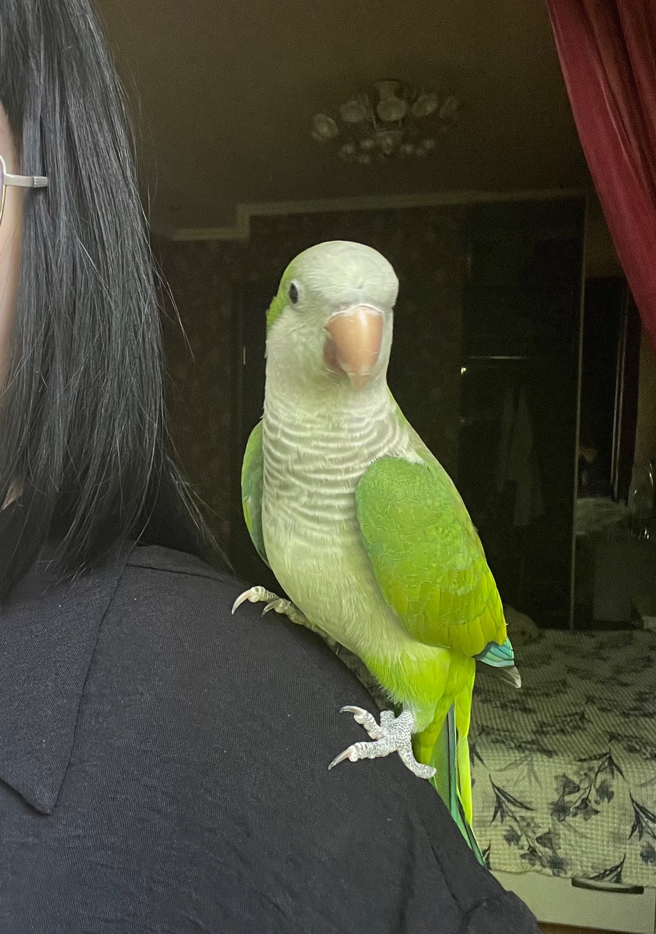 Калита-Монах (квакер)