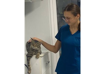 Неймовірний котик шукає дім!