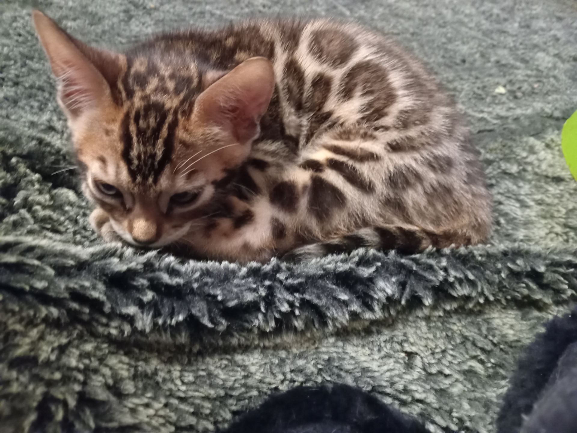 2 хлопчики народились 12 вересня 2025 р