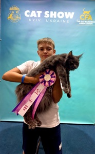 Мейн-кун дівчинка Chris