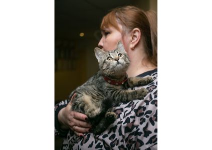 Неймовірно гарні тигренята шукають свої родини!