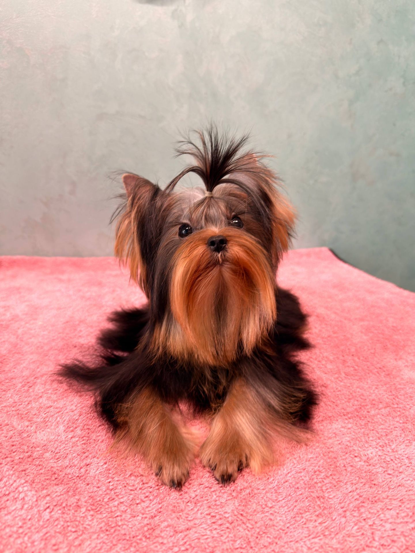 Міні дівчинка та міні хлопчик