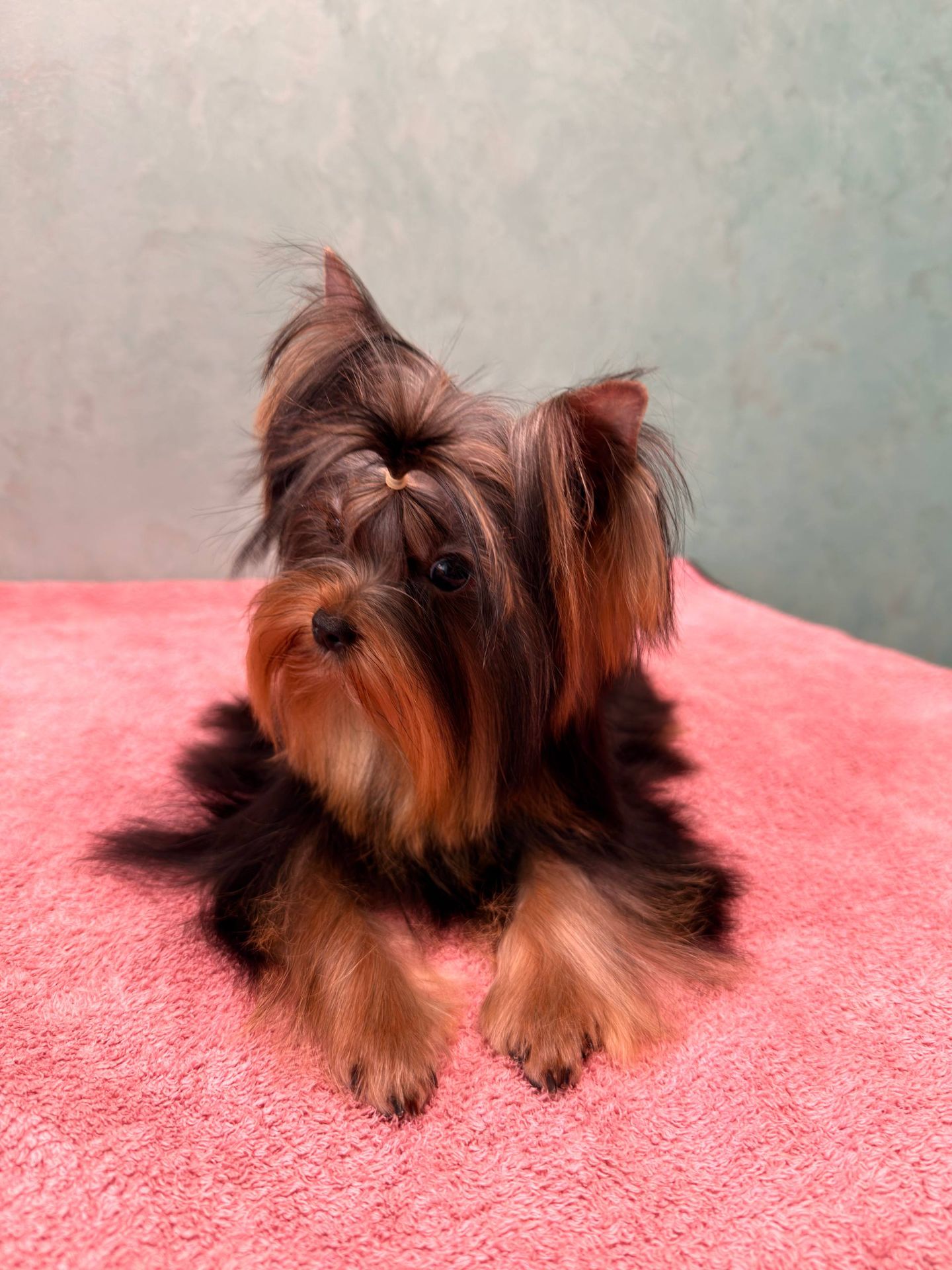 Міні дівчинка та міні хлопчик