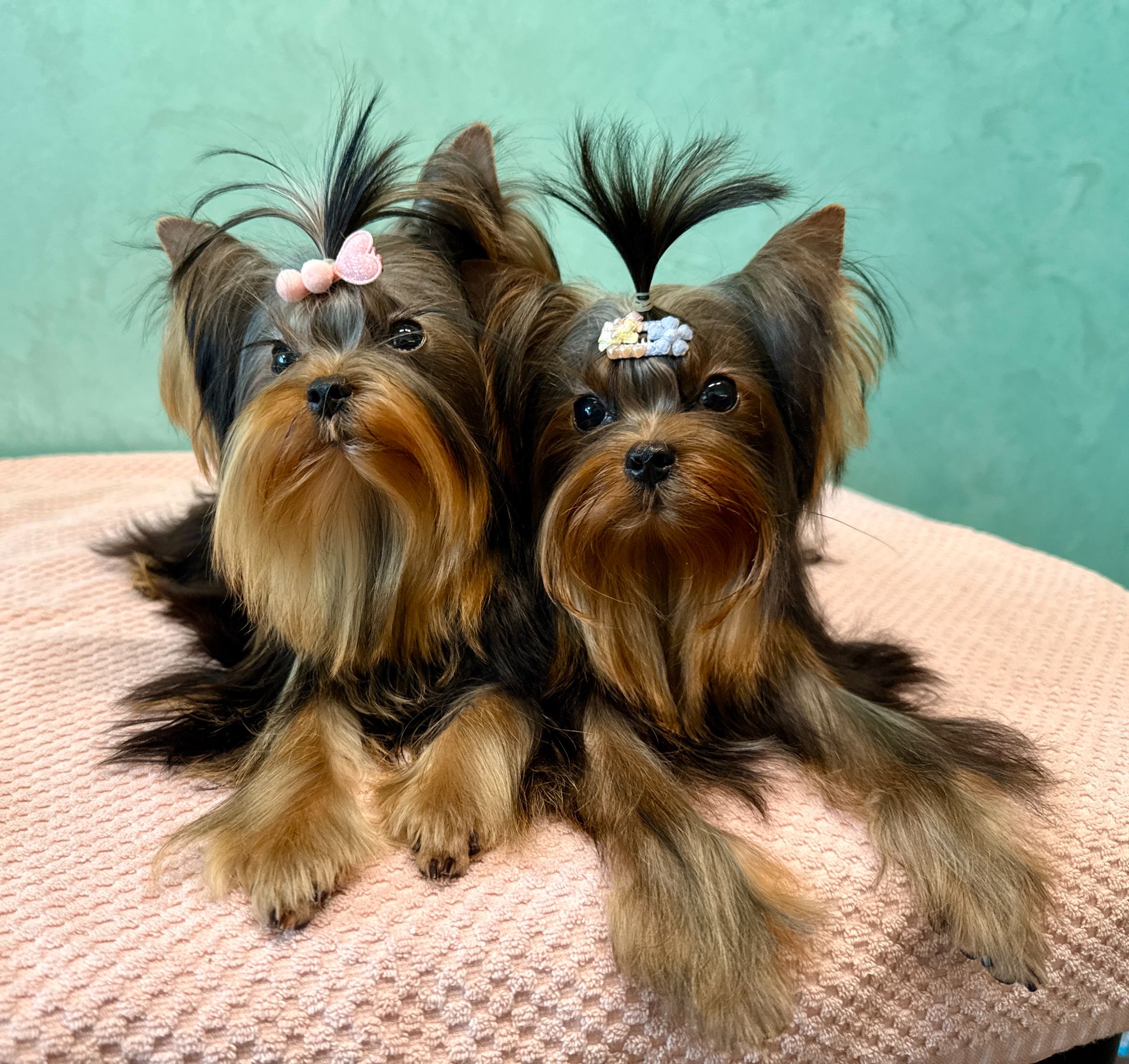 Міні дівчинка та міні хлопчик