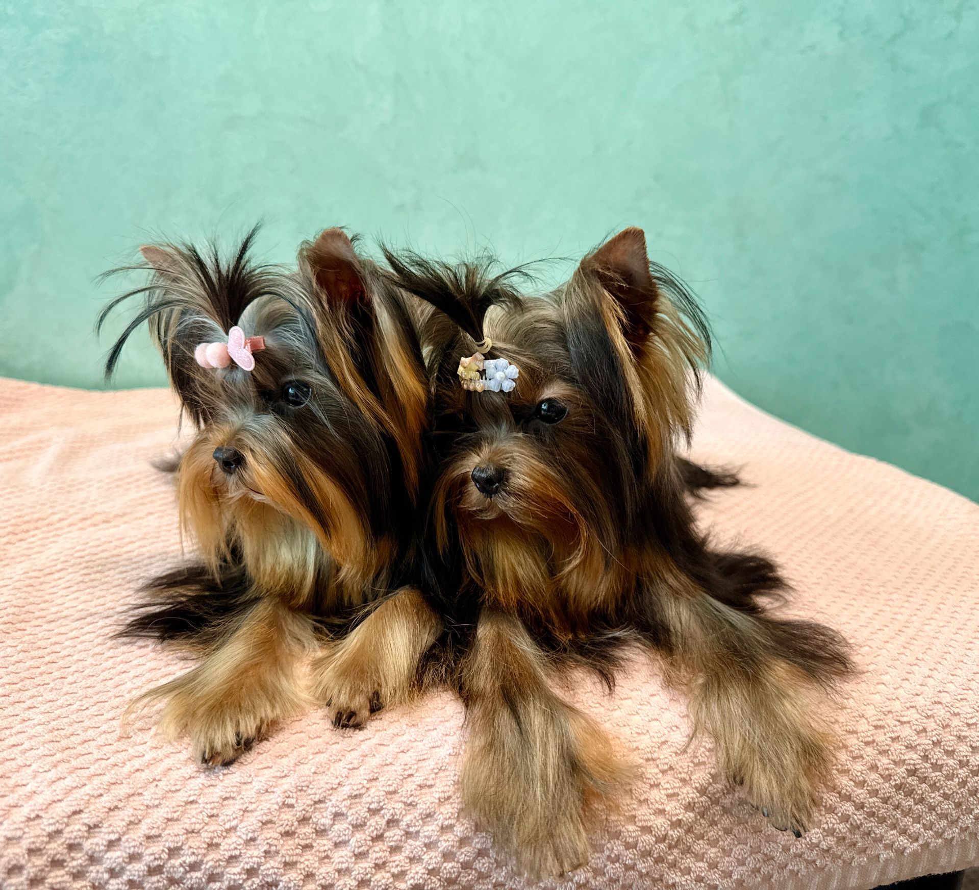 Міні дівчинка та міні хлопчик