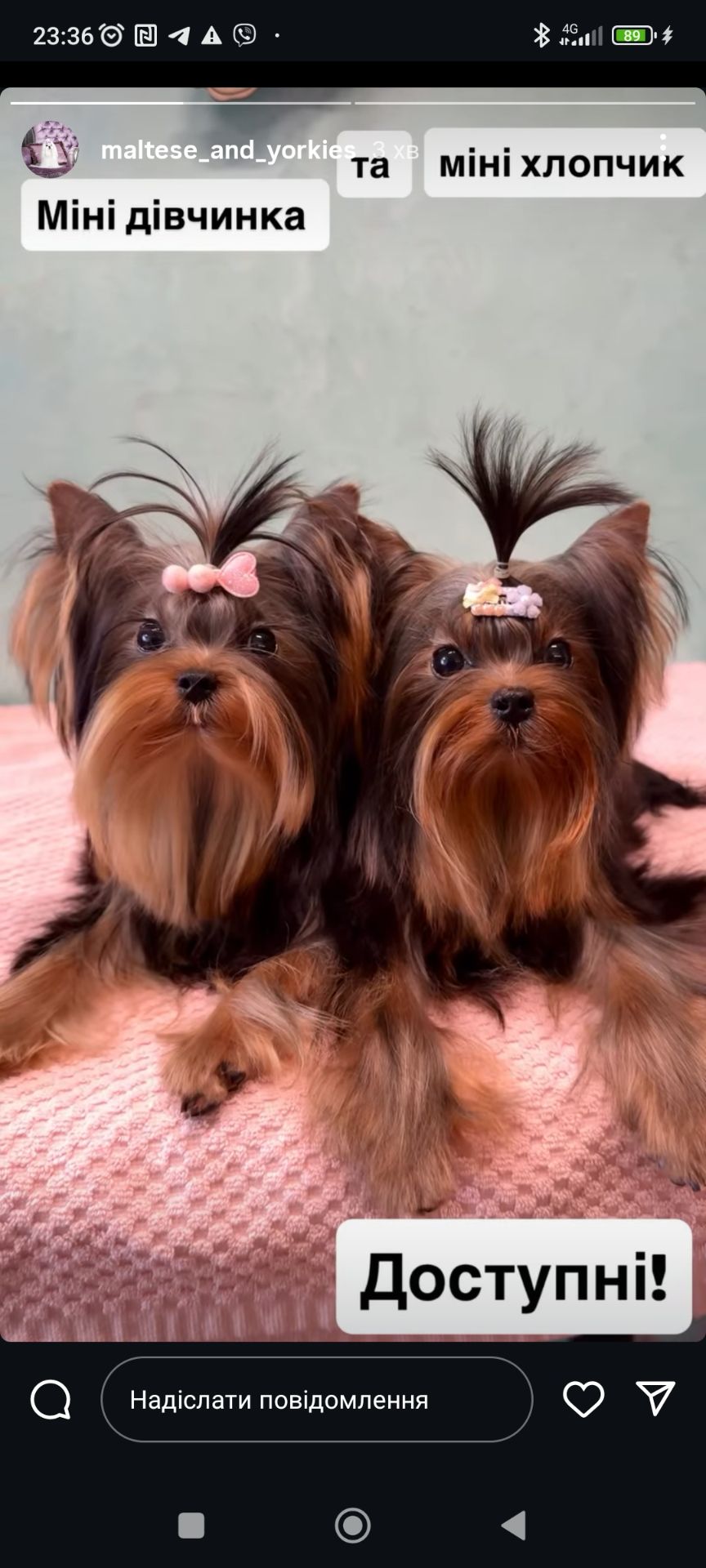 Міні дівчинка та міні хлопчик