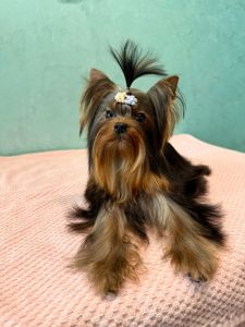 Міні дівчинка та міні хлопчик