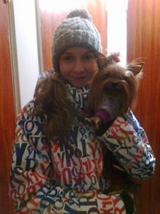 Йорки, хлопчики, ветпаспорт, щеплені, Київ