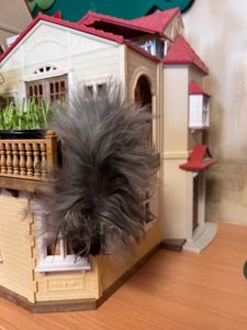 Хом'яки ангорські, королівські