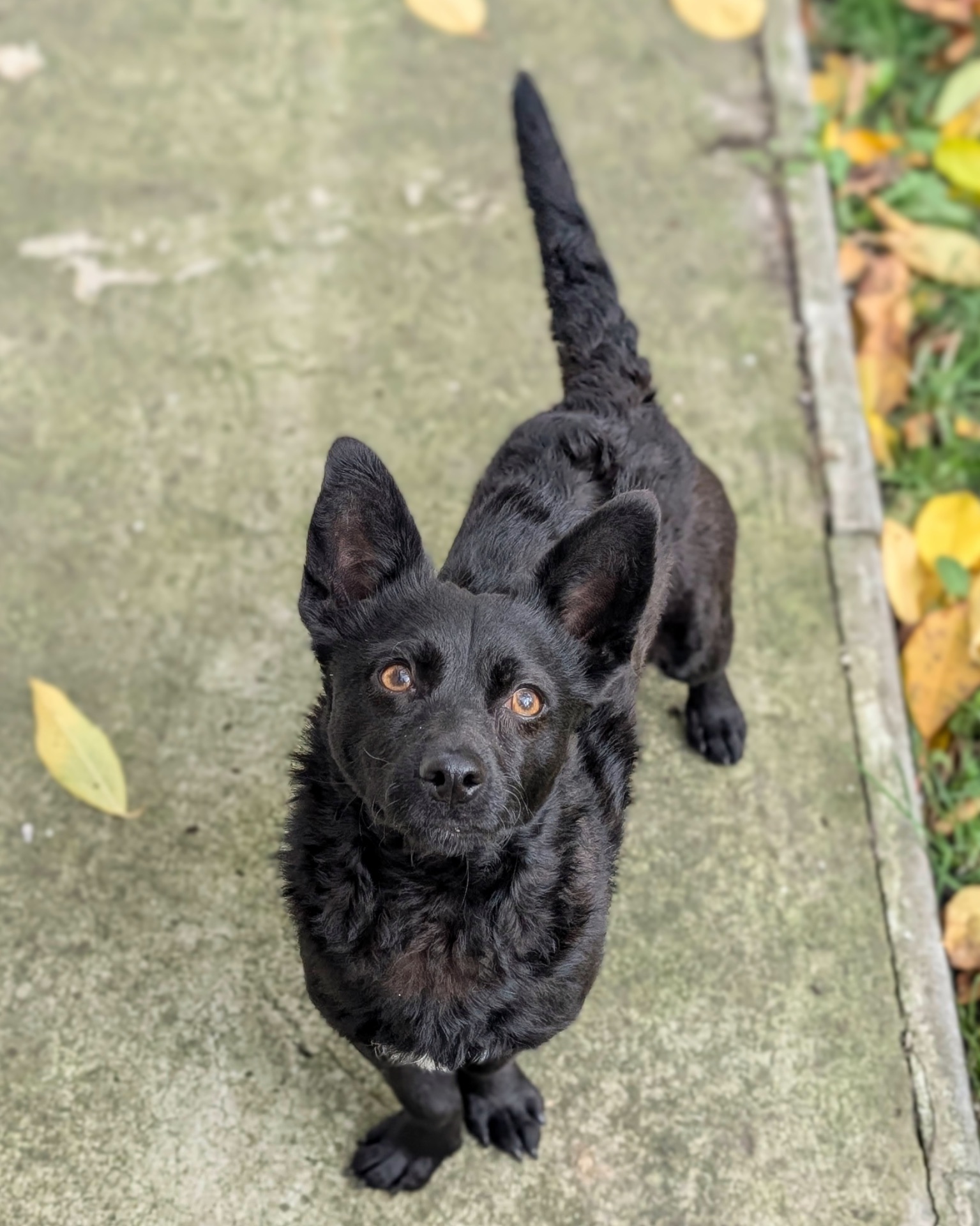 Харизматичний Набу шукає дім