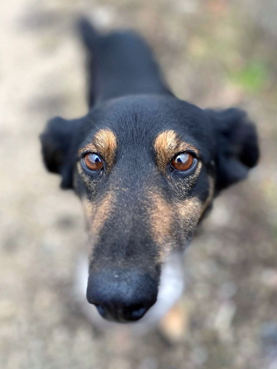 Діна з Сумщини, 3 роки