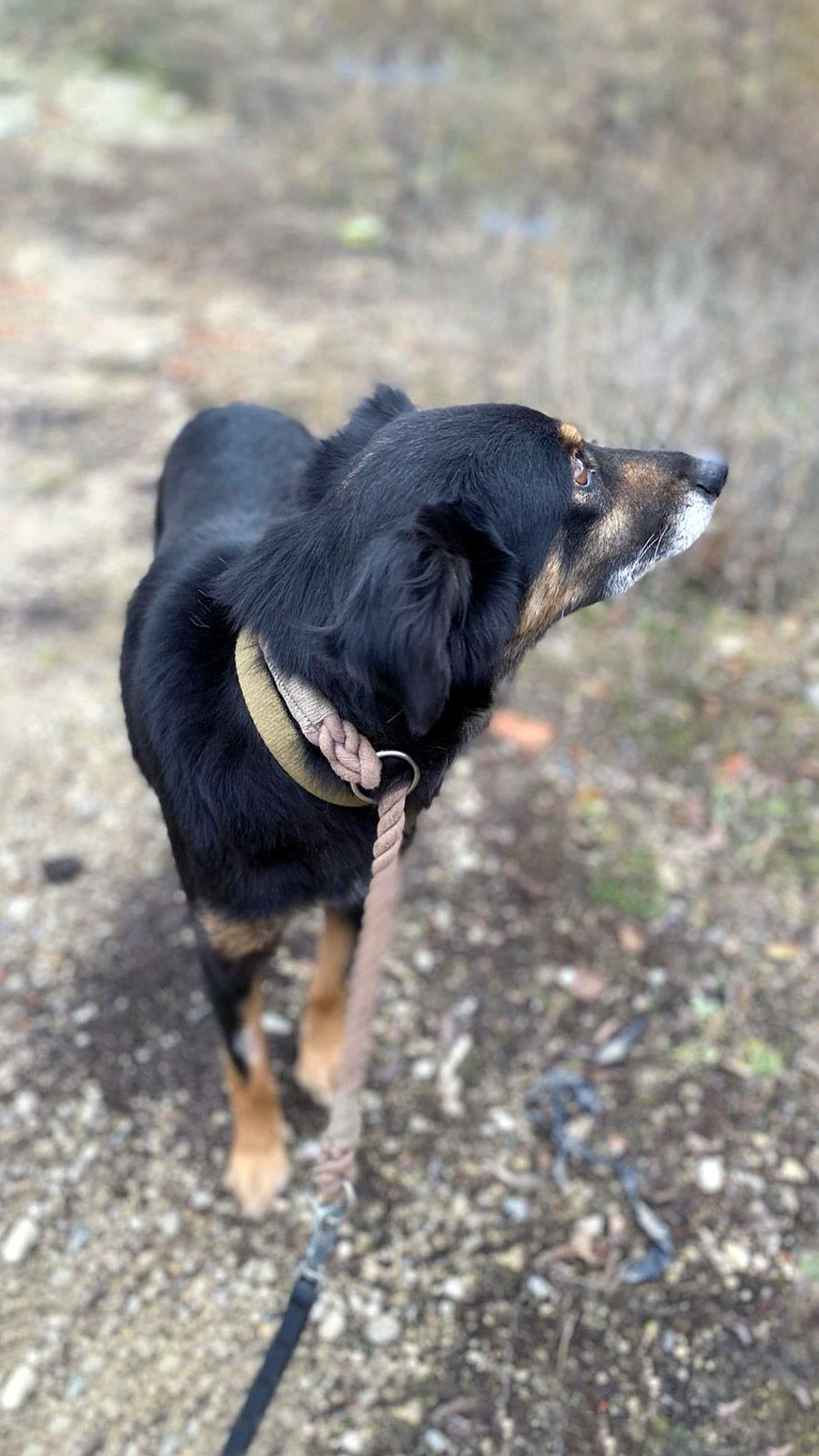 Діна з Сумщини, 3 роки