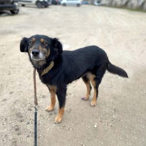 Діна з Сумщини, 3 роки