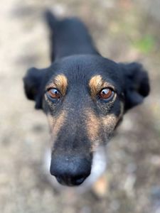 Діна з Сумщини, 3 роки