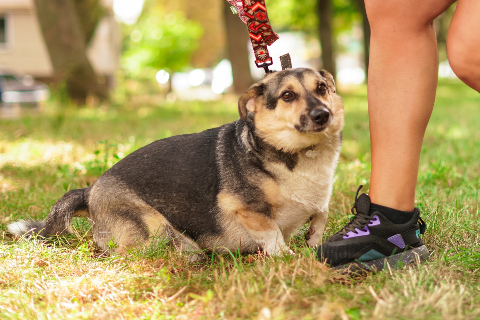 Врятований Малюк чекає на свою нову родину!